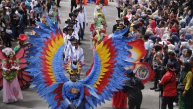 FASHION CARNAVAL BEAUTIFUL MALINO 2025
