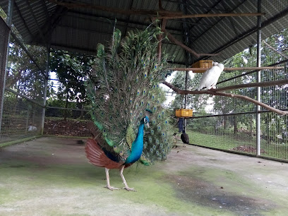 kebun binatang citra satwa celeber