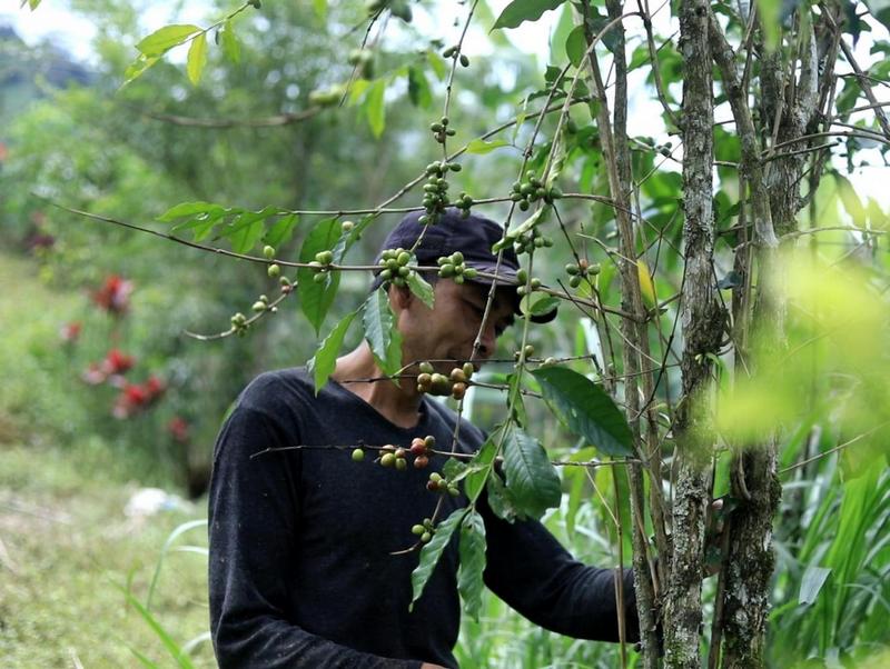wisata di desa topidi malino