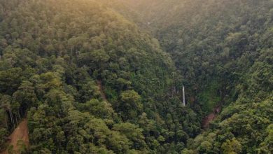 Air Terjun Berkuda Sembrani gowa
