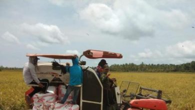 cara daftar kelompok tadi dan gopuktan di gowa