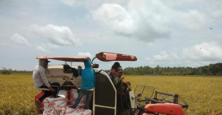 cara daftar kelompok tadi dan gopuktan di gowa